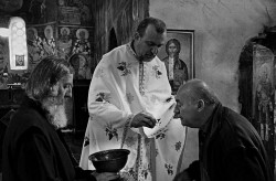 AleksaSrbin 
нафора 
2011-07-27 18:02:07