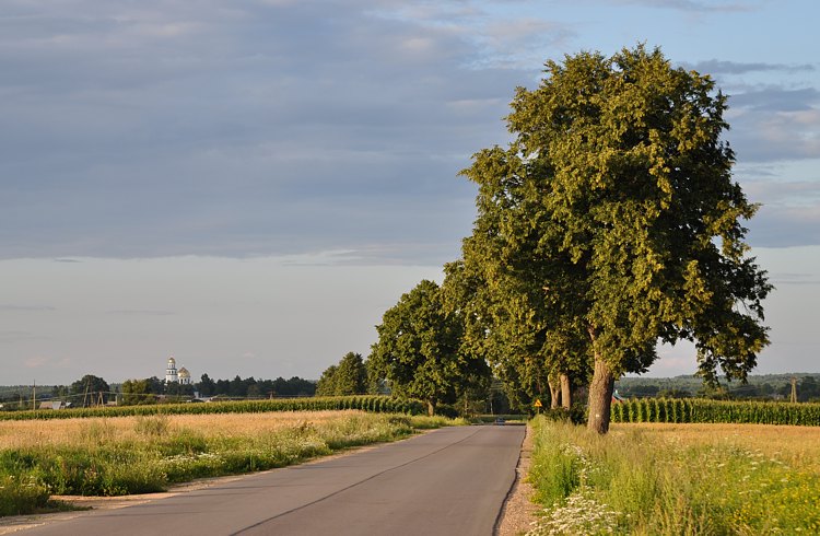 Haradok