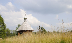 bargus 
 
2011-08-08 18:41:21