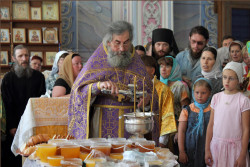 tolmargarita 
Освящение медов 
2011-08-14 20:07:48