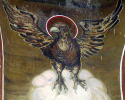 nicolausolahus 
Vulturul 
2011-08-15 21:45:05