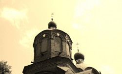 bargus 
Bialowieza 
2011-08-27 21:00:46