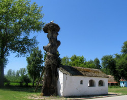 Miladin Šuškal 
KOVILJ - sv.PETKA 
2011-08-28 14:13:41