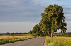 bogdan 
Haradok 
2011-08-31 06:43:16