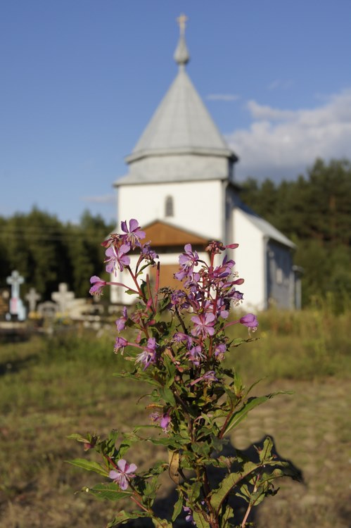 Cerkiew  św. Anny w Wólce Terechowskiej