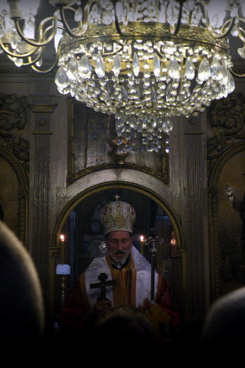 Владика Иринеј