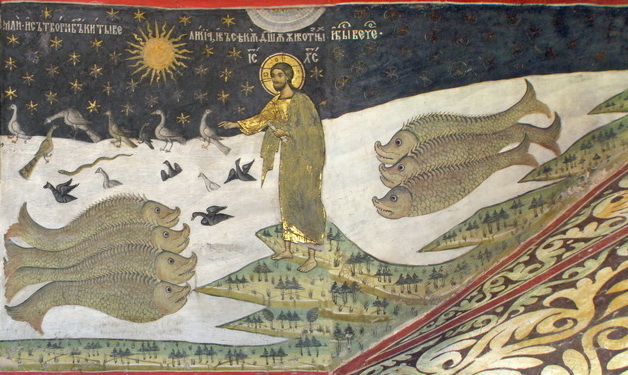 Genesis