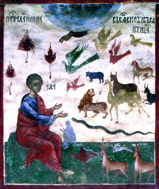 Genesis