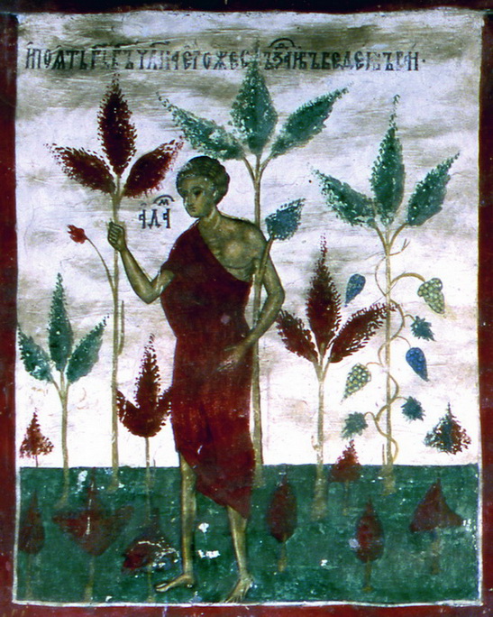 Genesis