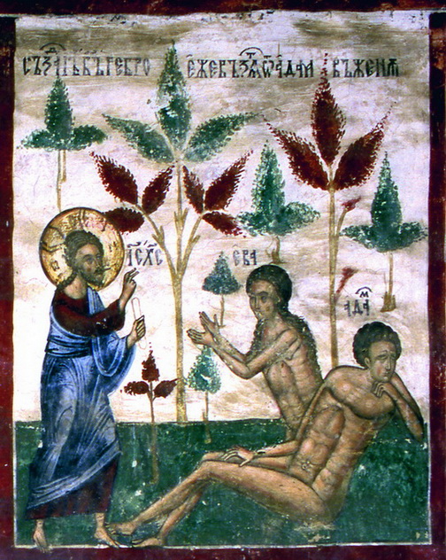 Genesis