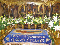 Aimilianos 
Wieczernia Uspienija Preswiatoj Bogorodicy 
2011-09-03 18:16:25