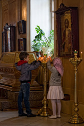 Kaktusik 
 
2011-09-04 18:43:47