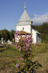 Ewczer 
Cerkiew  św. Anny w Wólce Terechowskiej 
2011-09-05 18:35:30