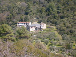 Epifanije 
Испосница на Св.Гори 
2011-09-07 13:35:22