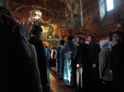 Kaktusik 
 
2011-09-08 14:21:49