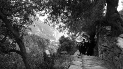 paulos4205 
Mount Athos 
2011-09-09 10:44:57