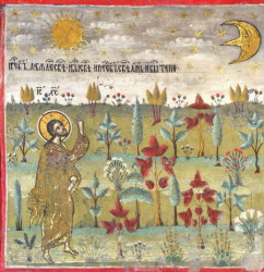 Mitrut Popoiu 
Genesis 
2011-09-10 09:59:30