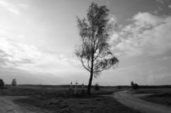 Ewczer 
Krzyże na rozwidleniu dróg 
2011-09-10 22:07:49