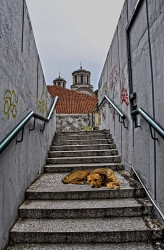 AleksaSrbin 
једно летње поподне 
2011-09-22 11:37:21