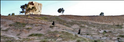 Iovanov 
Cararuie 
2011-09-28 12:06:38