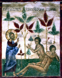 Mitrut Popoiu 
Genesis 
2011-09-29 08:50:17
