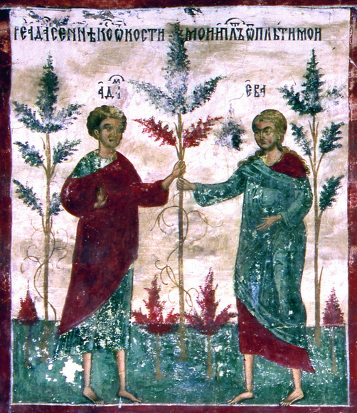Genesis
