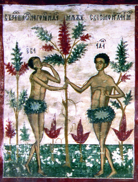 Genesis
