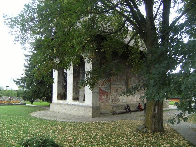 Bucovina