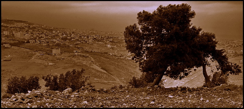 Iezechiel  25 -  17