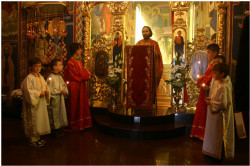 mladen_tomic 
Реч 
2011-10-04 12:41:14