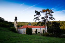Djole 
Манастир Хопово 
2011-10-05 16:38:23