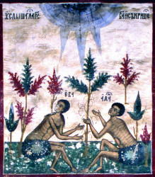 Mitrut Popoiu 
Genesis 
2011-10-15 11:49:29