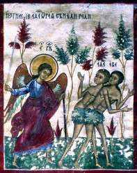 Mitrut Popoiu 
Genesis 
2011-10-17 10:38:09