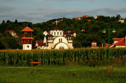 Novakovic 
КРСТ И ЗВОНА НАД СРБИЈОМ---Cross and the bells tone up of Serbia, 97 
2011-10-20 08:57:40