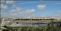 Iovanov 
Jerusalim 
122 
2011-10-20 13:36:35