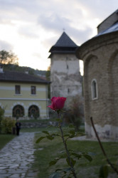 mmm 
Студеница 
2011-10-24 11:28:46