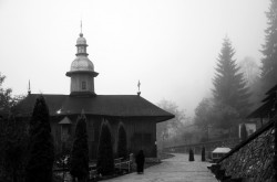 numeprenume 
Toamna la Sihla... 
2011-10-27 20:29:20