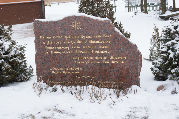 Odrynki Zimą
