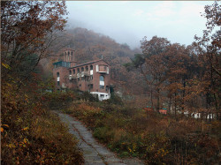 tolmargarita 
Дорога. Осень. Храм. 
2011-11-01 03:41:34