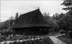 toza 
Покајница (1) 
2011-11-05 10:27:11
