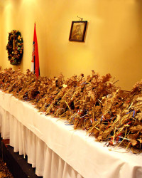 MikaV 
Badnjaci 
2011-11-07 22:43:29