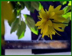 Nikolaj_BG 
Манастирско клепало / The monastery clapper 
2011-11-08 14:19:08