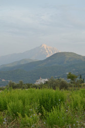 scluci 
Lumină lină - Φως ιλαρόν 
2011-11-09 17:56:15