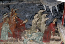 Mitrut Popoiu 
Genesis 
2011-11-10 18:33:15