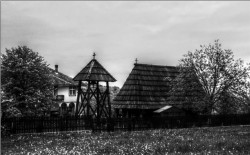 toza 
Покајница (4) 
2011-11-12 16:24:22