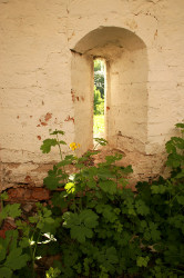 opalev 
Чистотел 
2011-11-23 09:14:52