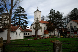 Novakovic 
КРСТ И ЗВОНА НАД СРБИЈОМ---Cross and the bells tone up of Serbia, 110 
2011-11-23 09:38:36