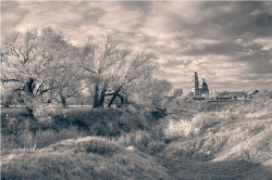 Eduard_z 
Цветение 
2011-11-25 06:22:17