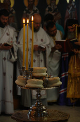 Miljan Miletic 
Бденије 
2011-11-28 18:40:50