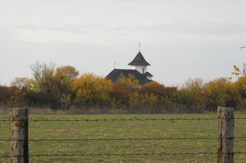 Late  Autumn